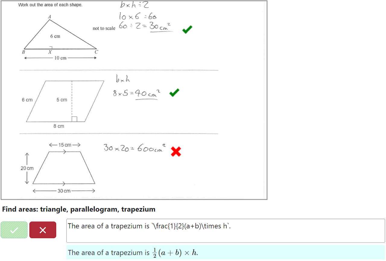 Screenshot of student work that should be marked Red